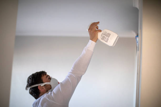 Best White Mold Remediation in Lexico, CA